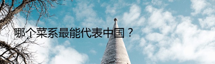 哪个菜系最能代表中国？