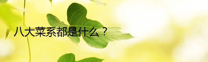 八大菜系都是什么？