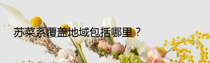 苏菜系覆盖地域包括哪里？