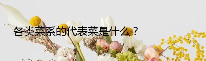 各类菜系的代表菜是什么？