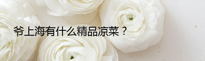 爷上海有什么精品凉菜？