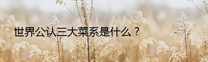 世界公认三大菜系是什么？