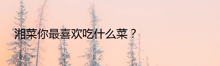 湘菜你最喜欢吃什么菜？