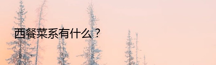 西餐菜系有什么？