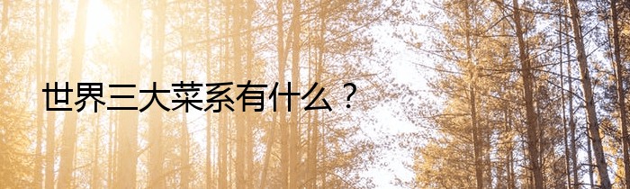 世界三大菜系有什么？