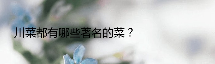 川菜都有哪些著名的菜？