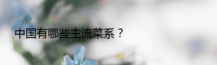 中国有哪些主流菜系？