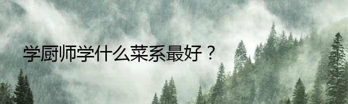 学厨师学什么菜系最好？