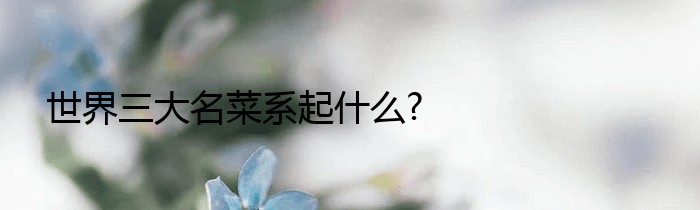 世界三大名菜系起什么?