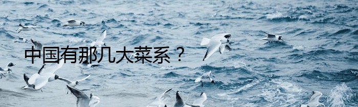 中国有那几大菜系？