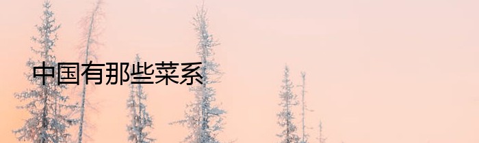 中国有那些菜系