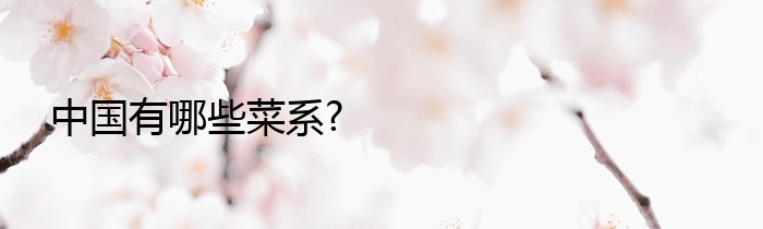 中国有哪些菜系?