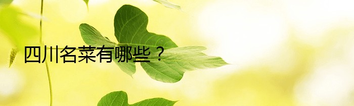 四川名菜有哪些？