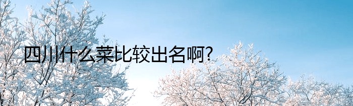 四川什么菜比较出名啊?