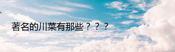 著名的川菜有那些？？？