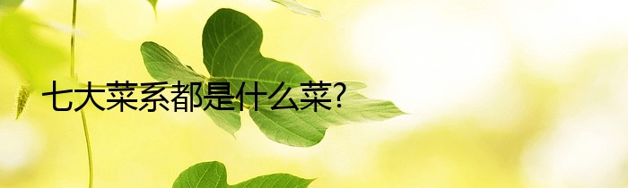 七大菜系都是什么菜?