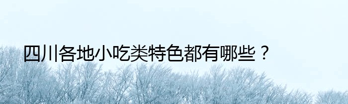 四川各地小吃类特色都有哪些？