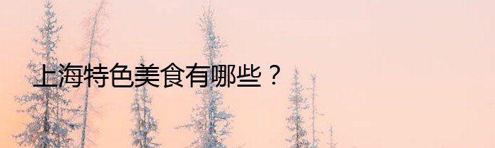 上海特色美食有哪些？