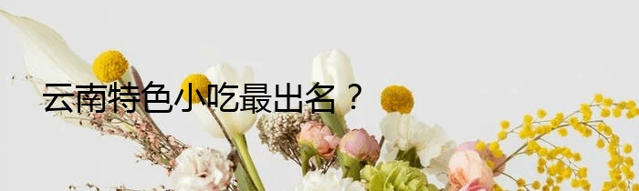 云南特色小吃最出名？