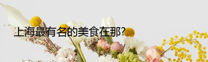 上海最有名的美食在那?