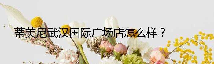 蒂芙尼武汉国际广场店怎么样？