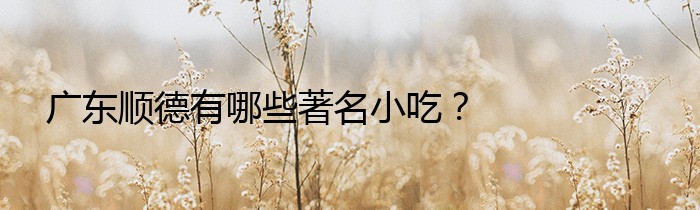 广东顺德有哪些著名小吃？