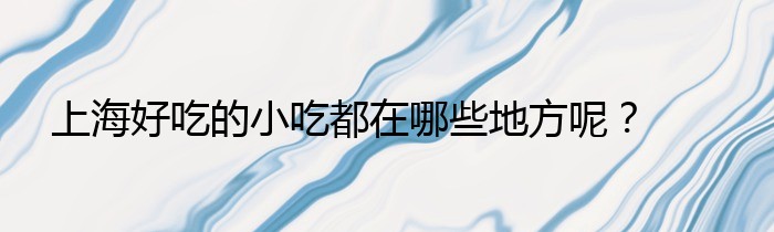 上海好吃的小吃都在哪些地方呢？