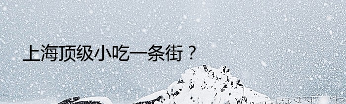 上海顶级小吃一条街？