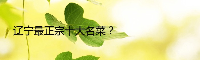 辽宁最正宗十大名菜？