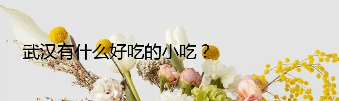 武汉有什么好吃的小吃？