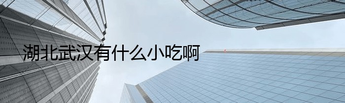 湖北武汉有什么小吃啊