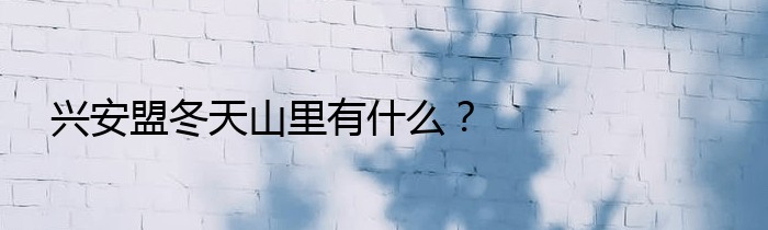 兴安盟冬天山里有什么？