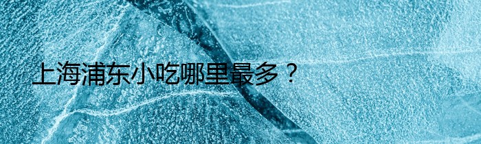 上海浦东小吃哪里最多？