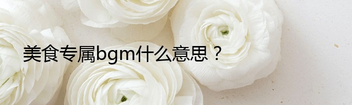 美食专属bgm什么意思？