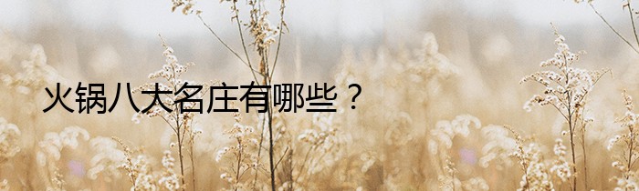 火锅八大名庄有哪些？