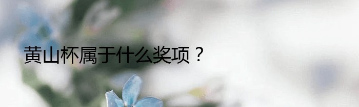 黄山杯属于什么奖项？