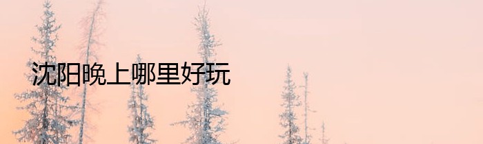 沈阳晚上哪里好玩