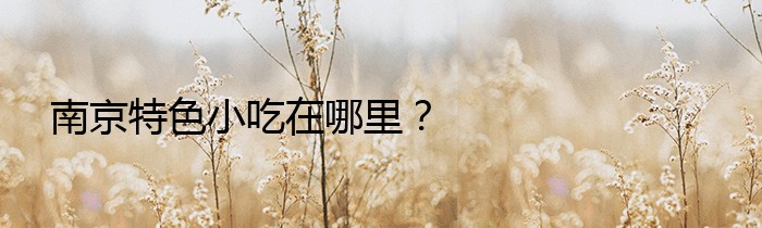 南京特色小吃在哪里？