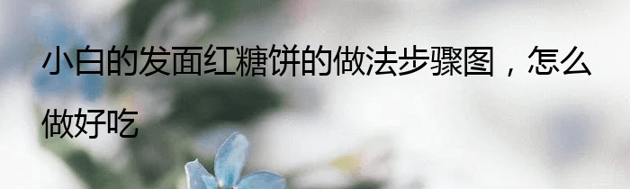 小白的发面红糖饼的做法步骤图，怎么做好吃