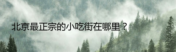 北京最正宗的小吃街在哪里？