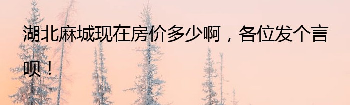 湖北麻城现在房价多少啊，各位发个言呗！