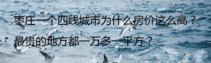 枣庄一个四线城市为什么房价这么高？最贵的地方都一万多一平方？