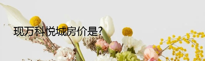 现万科悦城房价是?