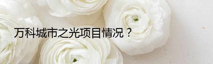 万科城市之光项目情况？