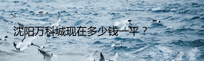 沈阳万科城现在多少钱一平？