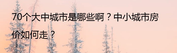 70个大中城市是哪些啊？中小城市房价如何走？