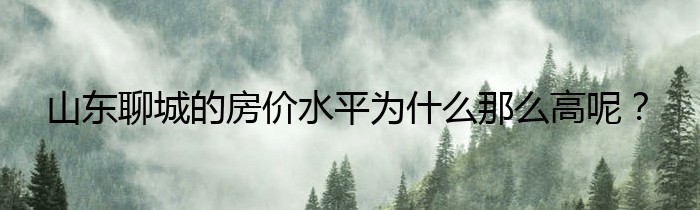 山东聊城的房价水平为什么那么高呢？