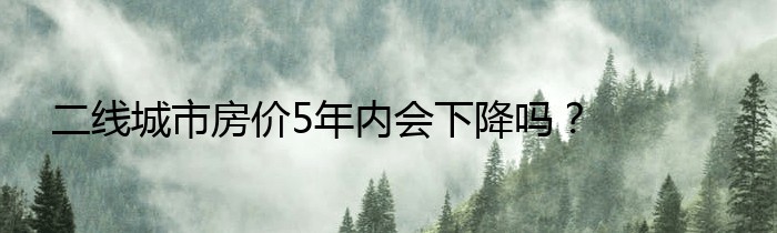 二线城市房价5年内会下降吗？