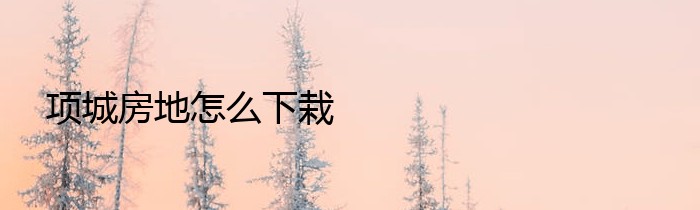 项城房地怎么下栽