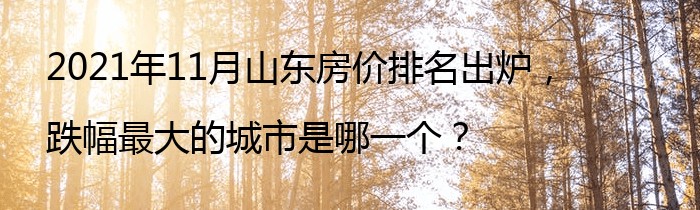 2021年11月山东房价排名出炉，跌幅最大的城市是哪一个？